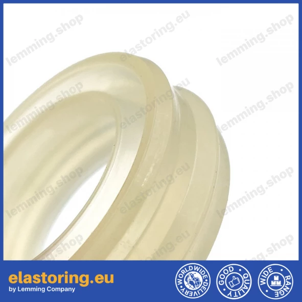 Pneumatic seal BWH 20x30x10,7 [2EBWH266]